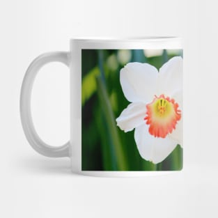 White Daffodil Mug